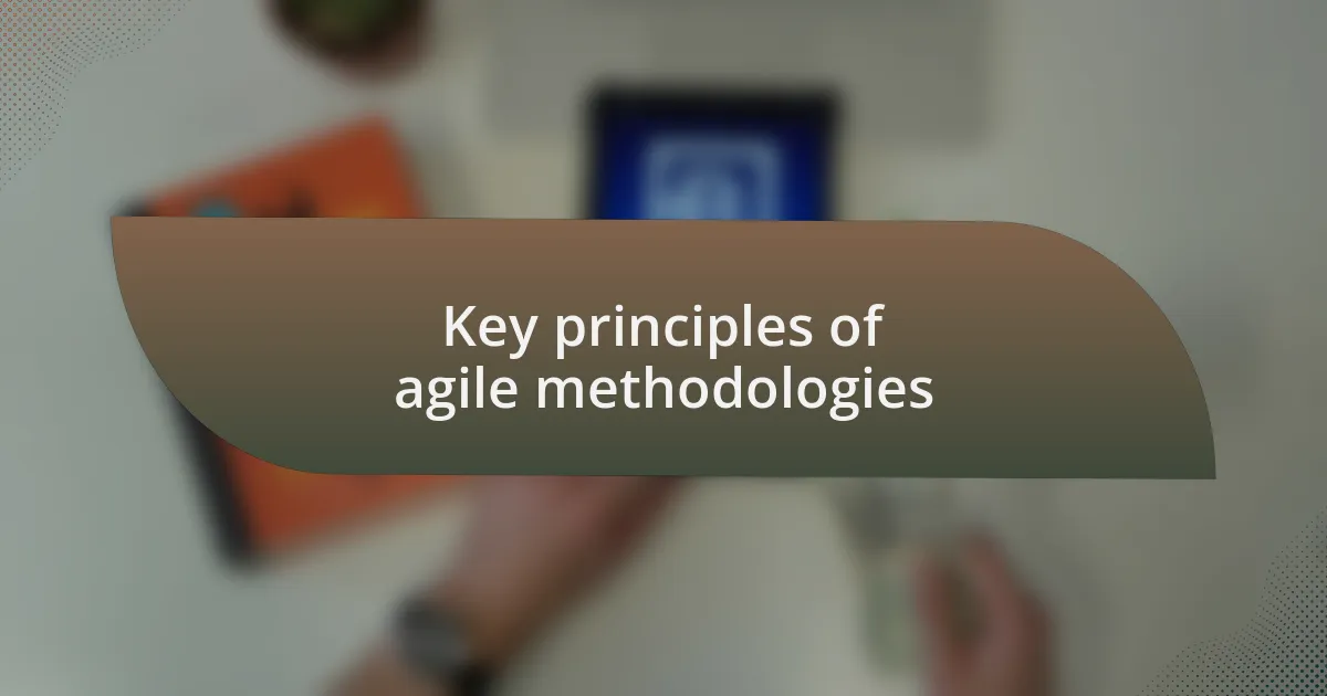 Key principles of agile methodologies
